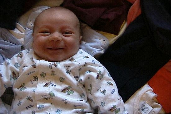 Click on image for details