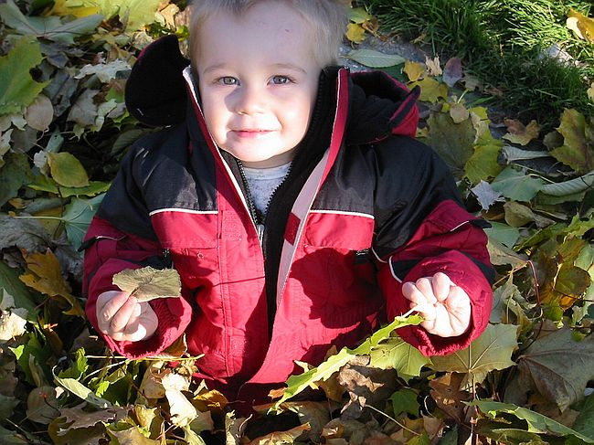 Click on image for details