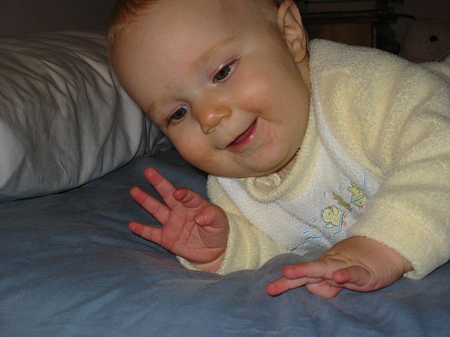 Click on image for details