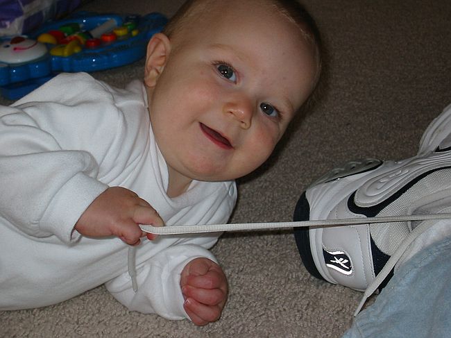 Click on image for details