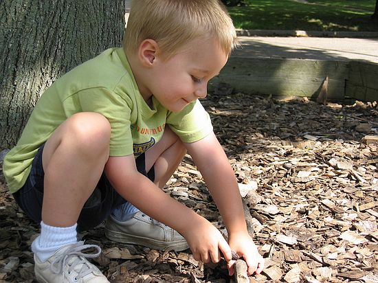 Click on image for details