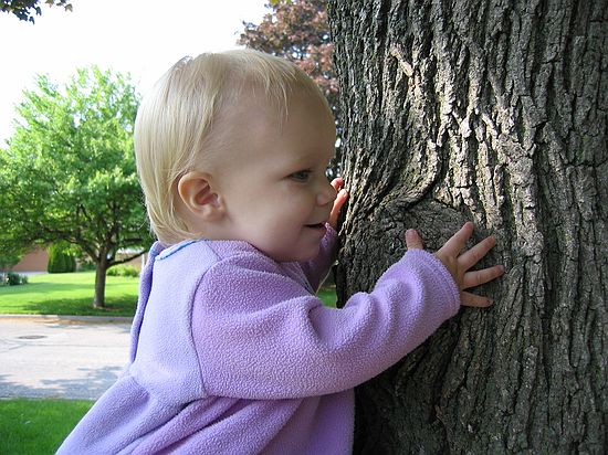 Click on image for details