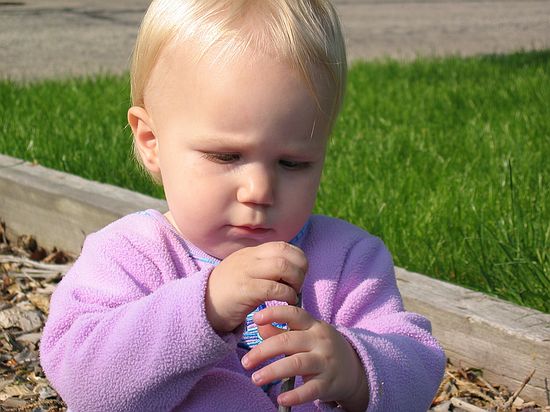 Click on image for details