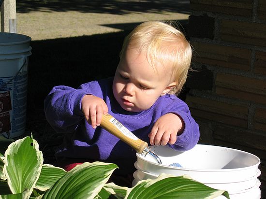 Click on image for details