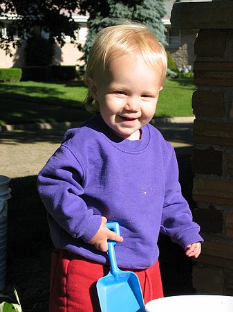 Click on image for details