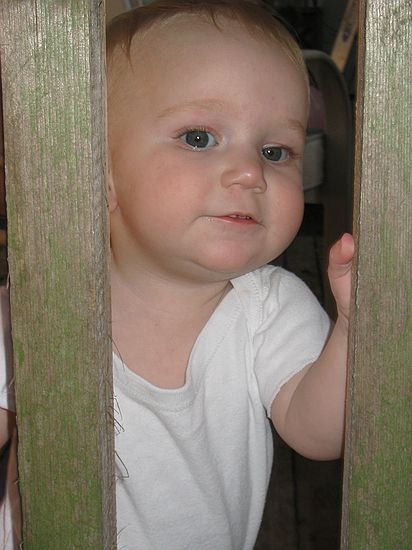 Click on image for details