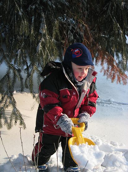 Click on image for details