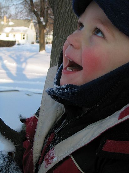 Click on image for details