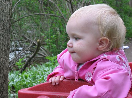 Click on image for details