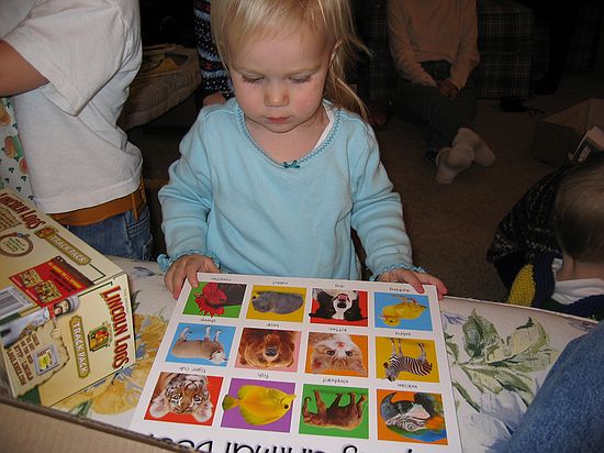 Click on image for details