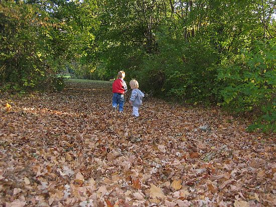 Click on image for details