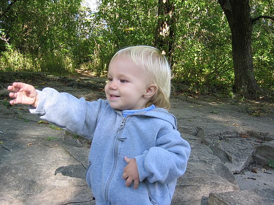 Click on image for details