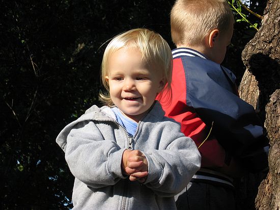 Click on image for details