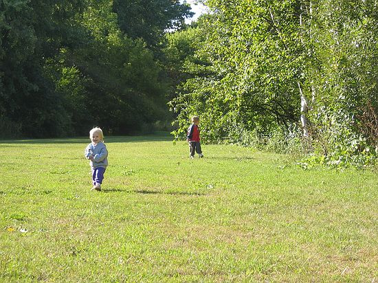 Click on image for details