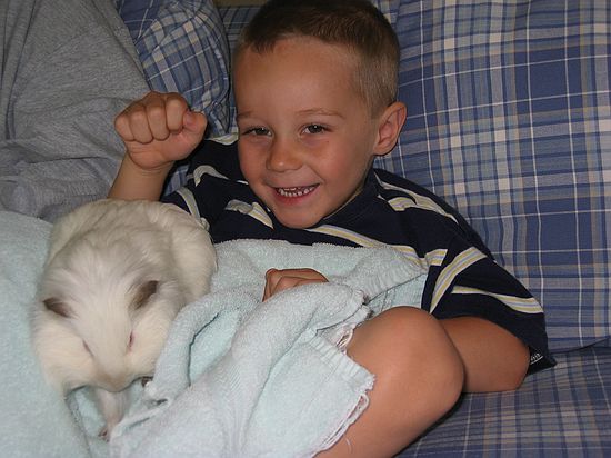 Click on image for details