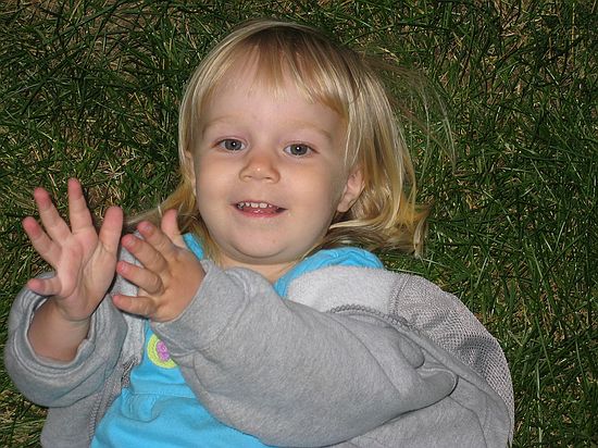 Click on image for details