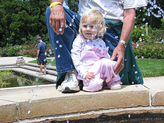 Click on image for details