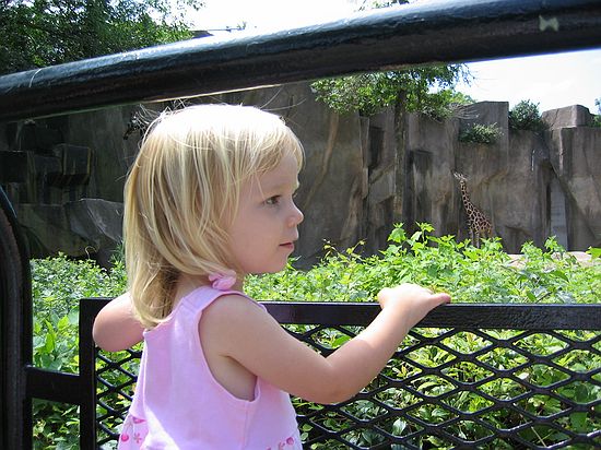 Click on image for details