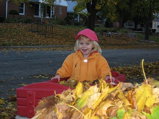 Click on image for details