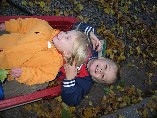 Click on image for details