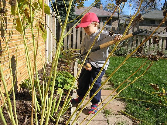 Click on image for details