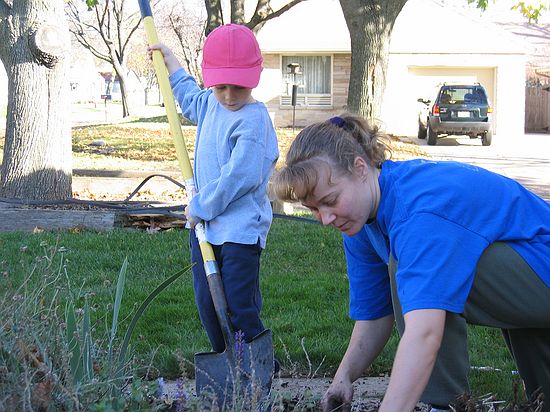 Click on image for details