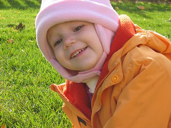 Click on image for details