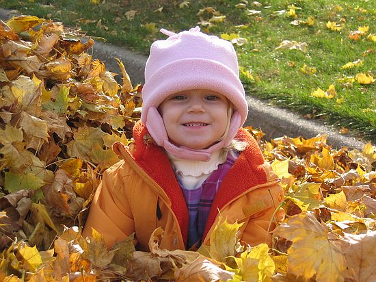 Click on image for details