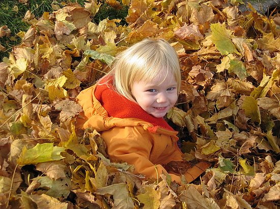 Click on image for details