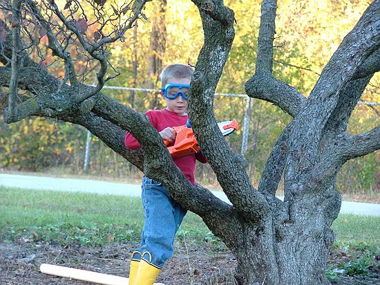 Click on image for details