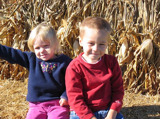 Click on image for details