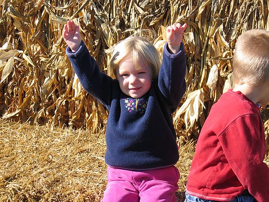 Click on image for details