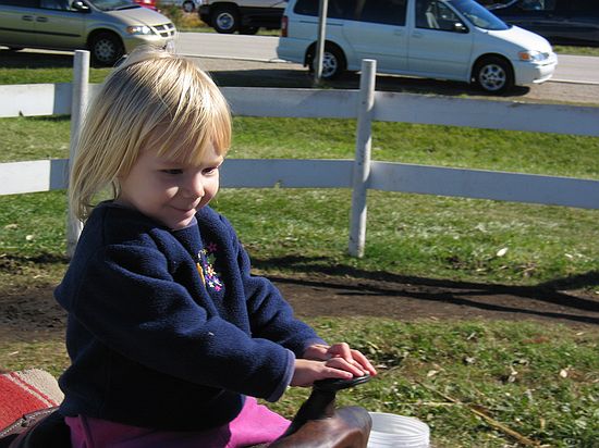 Click on image for details