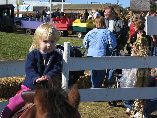 Click on image for details