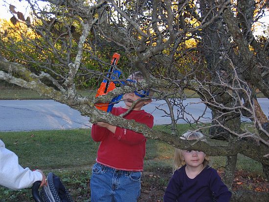 Click on image for details