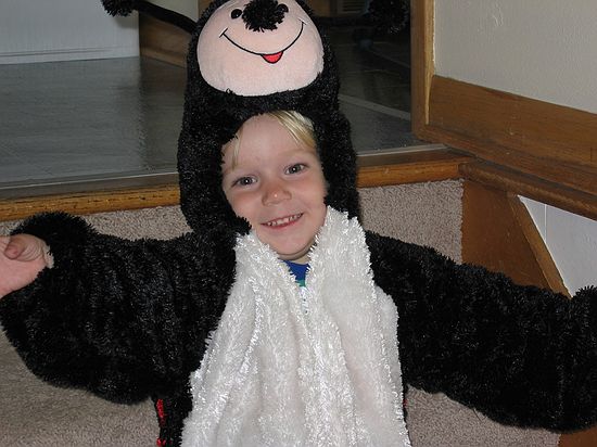 Click on image for details