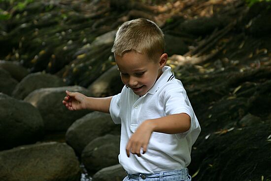 Click on image for details