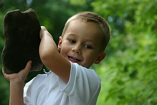 Click on image for details