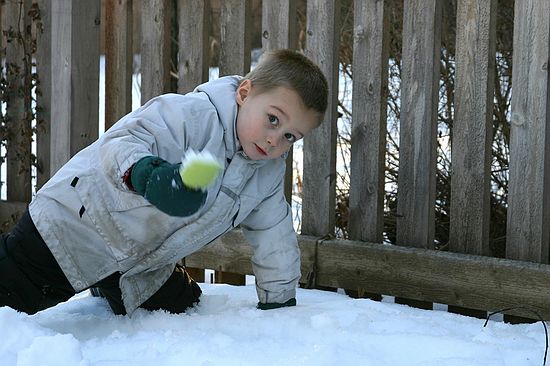 Click on image for details