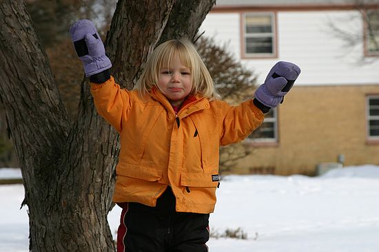 Click on image for details