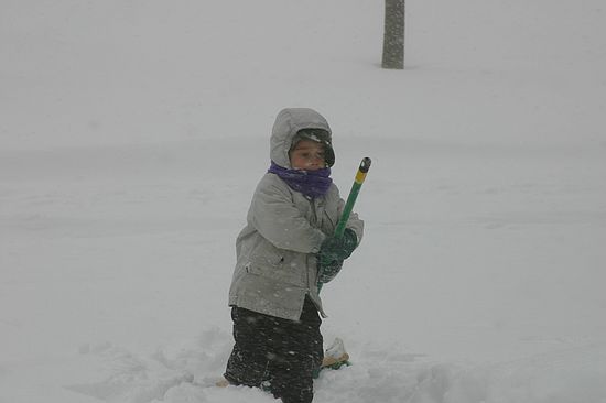 Click on image for details