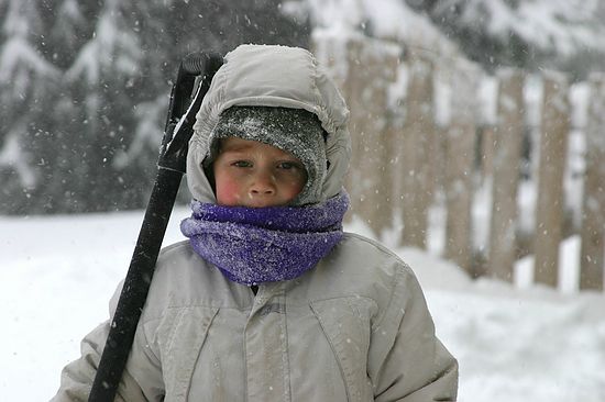 Click on image for details