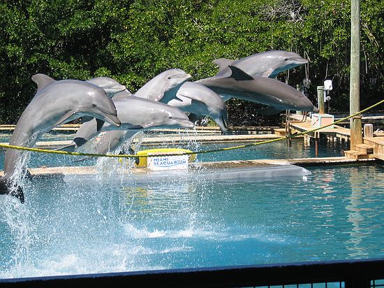 Click on image for details