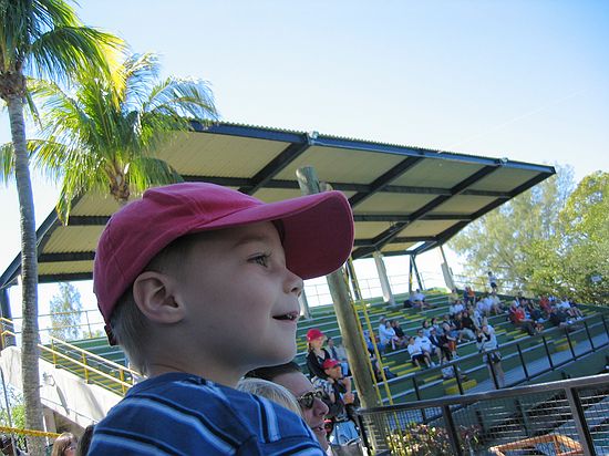 Click on image for details