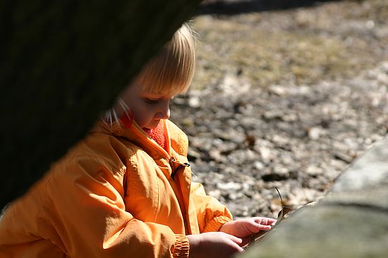 Click on image for details