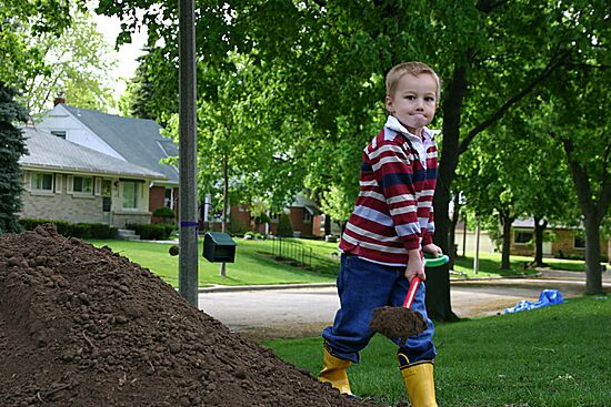 Click on image for details