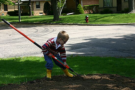 Click on image for details