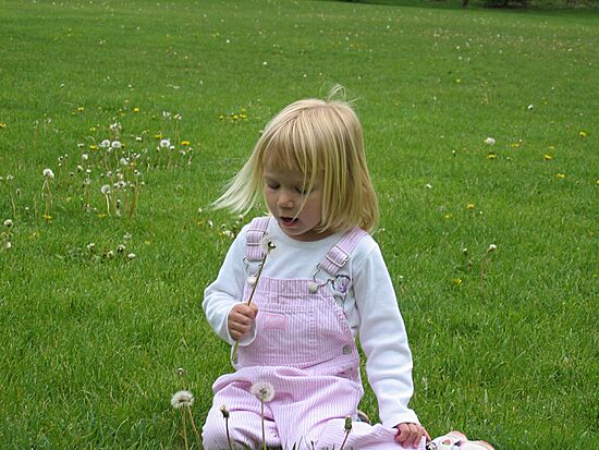 Click on image for details