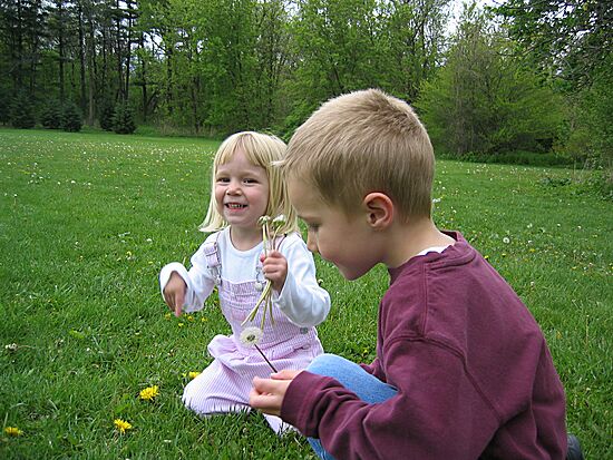 Click on image for details